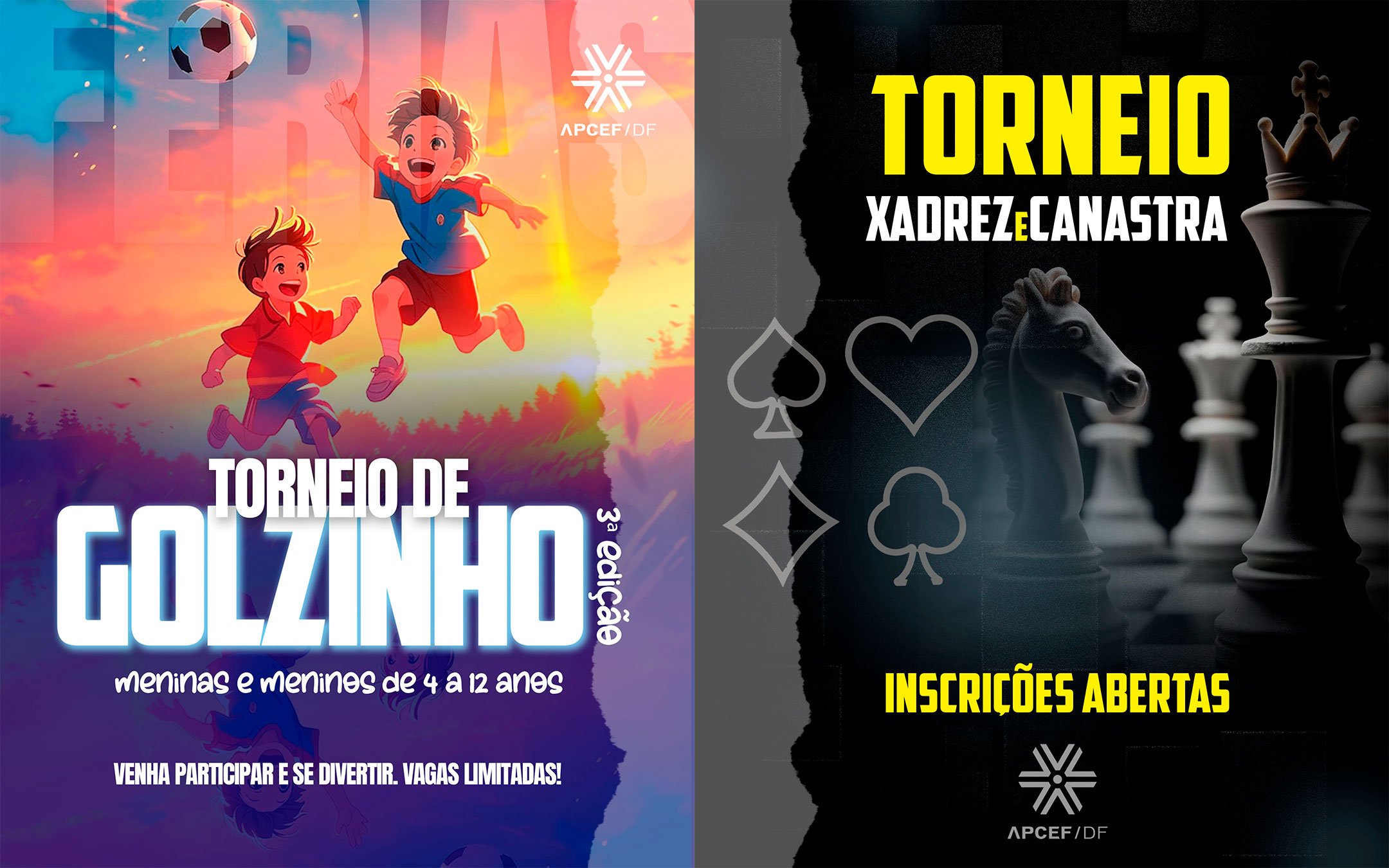 golzinho-e-canastra-xadrez.jpg
