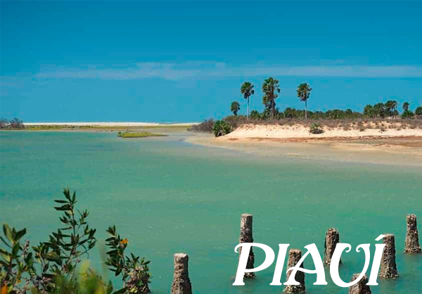 PIAUI.png